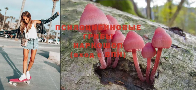 Псилоцибиновые грибы Magic Shrooms  Сафоново 